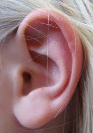 Les oreilles décollées chez tous les membres de la famille : ont-elles une cause héréditaire ?